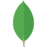 MongoDB